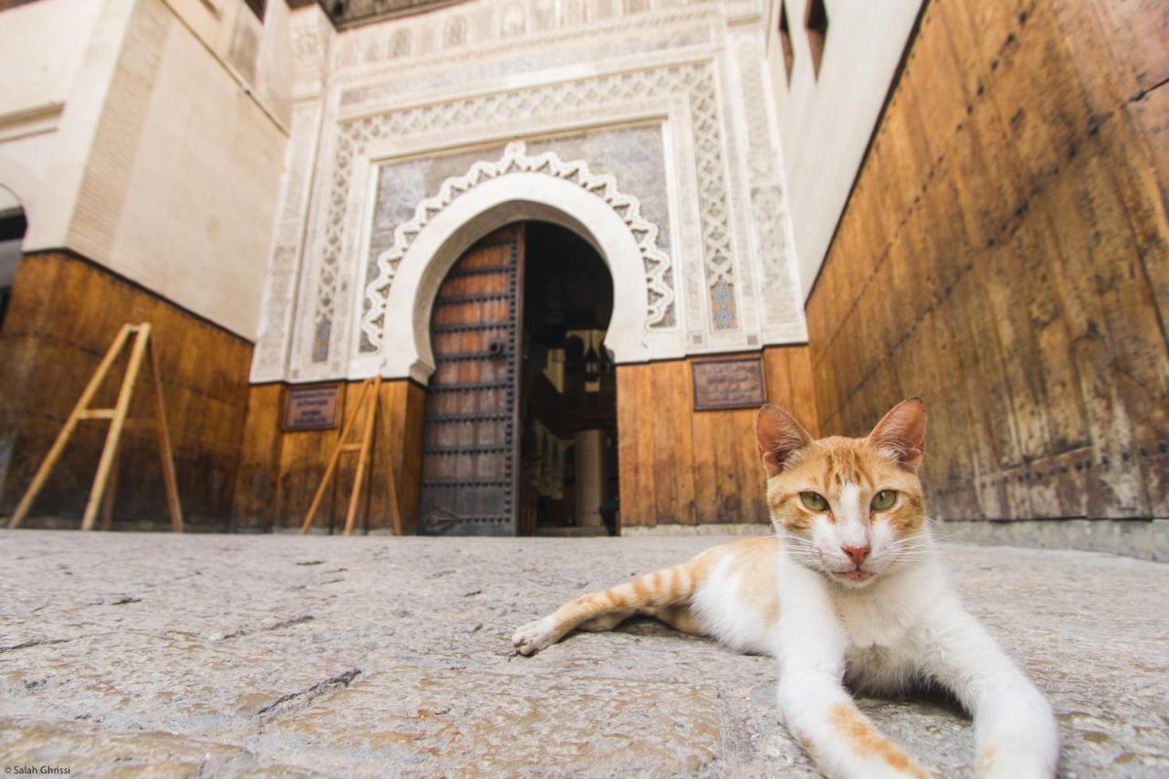 Riad Anis Fès Exteriér fotografie